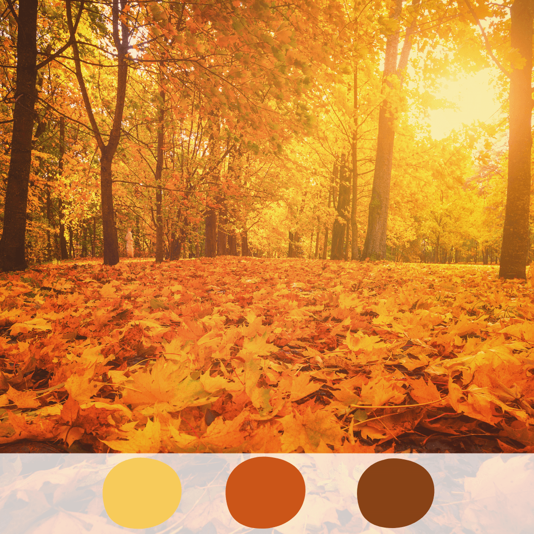 Jesienne kolory, które do siebie pasują: żółty, pomarańczowy, brązowy